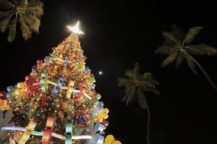 Honolulu Christmas Walking Tour: Private 3-Hour Holiday Stroll Through Chinatown & Capitol photo 3