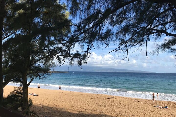 Elite Full-Day Private Maui Tour: Custom Island Drive from Kahului
