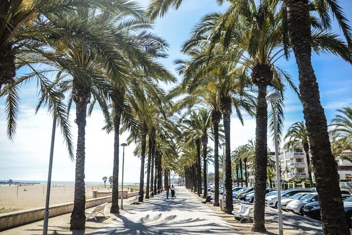 Sunny Isles Beach Private Coastal Walking Tour — 2-Hour Guided Stroll photo 4