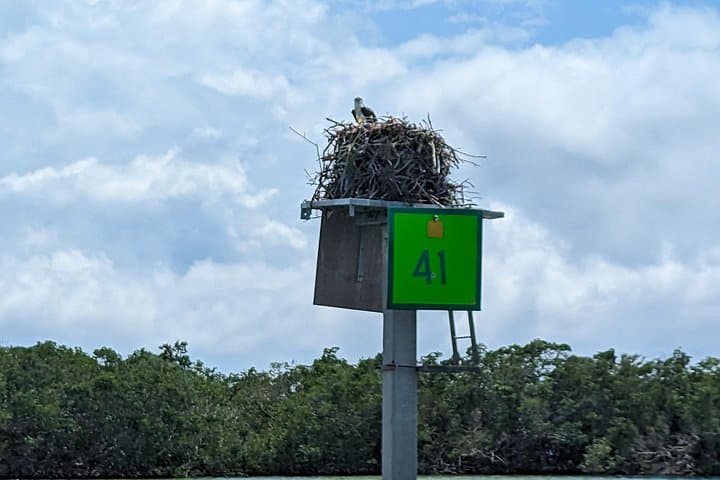3-Hour Private Sarasota Boat Tour: Siesta Key, Lido Key & Sarasota Bay photo 4