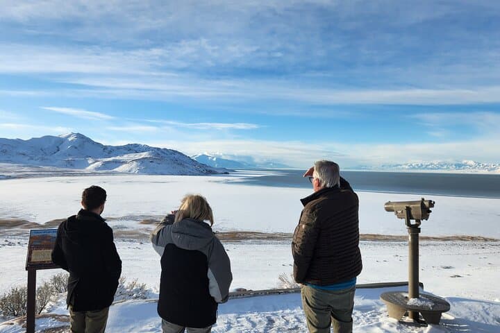 Exploring Great Salt Lake and Antelope Island: A Unique Day Tour Experience photo 4