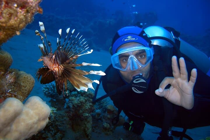 Scuba Diving in Antalya: Beginner Bay Dives in Kiriş (Kemer) photo 2