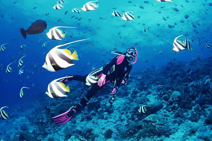 Scuba Diving in Antalya: Beginner Bay Dives in Kiriş (Kemer)