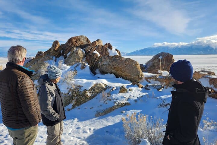 Exploring Great Salt Lake and Antelope Island: A Unique Day Tour Experience photo 6