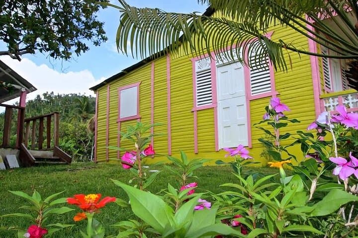 Explore Higüey: A Half-Day Cultural Journey in the Dominican Republic photo 3