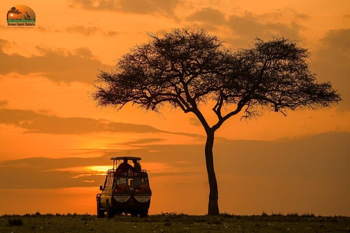 4-Day Private Masai Mara Safari: Big Cats, Migration and Maasai Culture