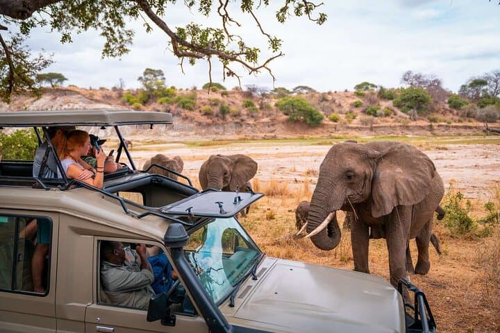 4-Day Ol Pejeta, Aberdare & Solio Ranch Safari: Rhinos, Waterfalls & Big-Game Drives