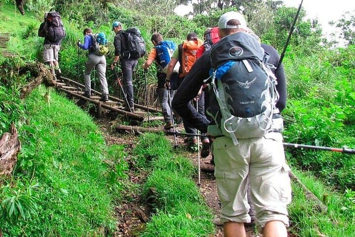 Private Day Hike on Kilimanjaro’s Marangu Route to Mandara Hut photo 5