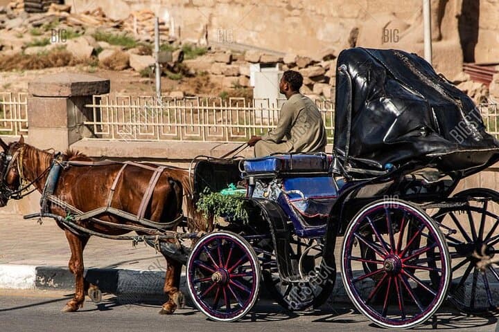 Horse Carriage Tour Along Aswan Corniche: Private 2-Hour Cultural Ride