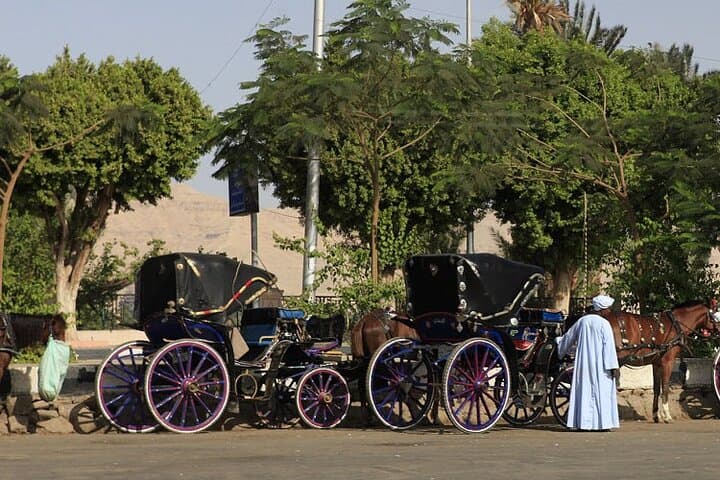 Horse Carriage Tour Along Aswan Corniche: Private 2-Hour Cultural Ride photo 6