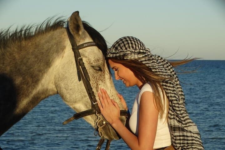 Sharm El-Sheikh 2-Hour Horseback Ride: Beach and Desert photo 5
