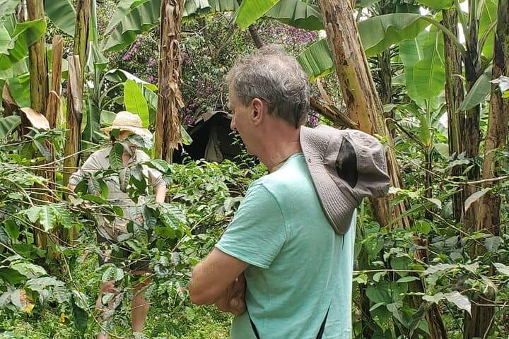 Materuni Waterfall & Kikuletwa (Chemka) Hot Springs — Day Trip from Moshi or Arusha photo 3