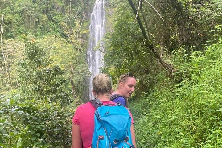 Materuni Waterfall & Kikuletwa (Chemka) Hot Springs — Day Trip from Moshi or Arusha photo 4