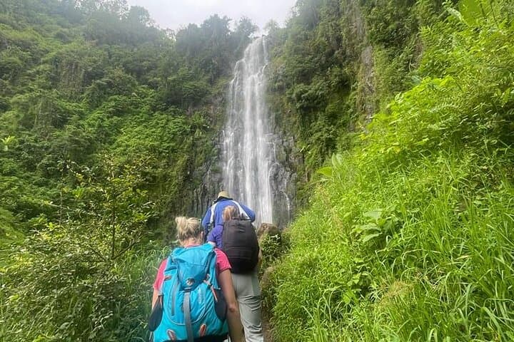 Materuni Waterfall & Kikuletwa (Chemka) Hot Springs — Day Trip from Moshi or Arusha photo 6