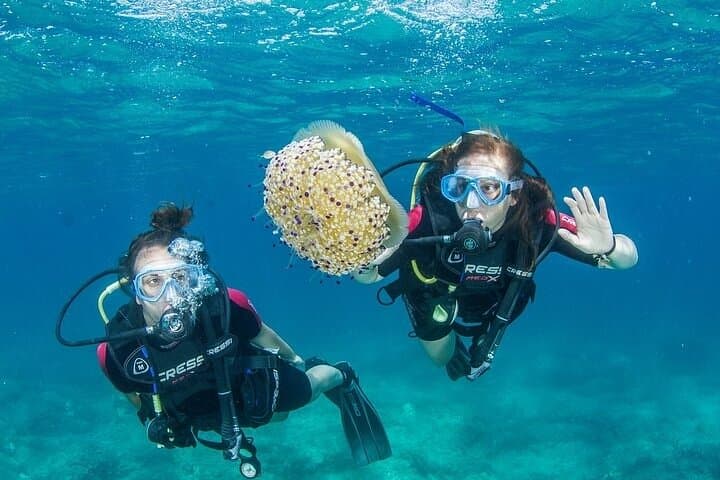 Chania Snorkel & Beginner Scuba Boat Trip — Blue Cave and Open Water Dive photo 2