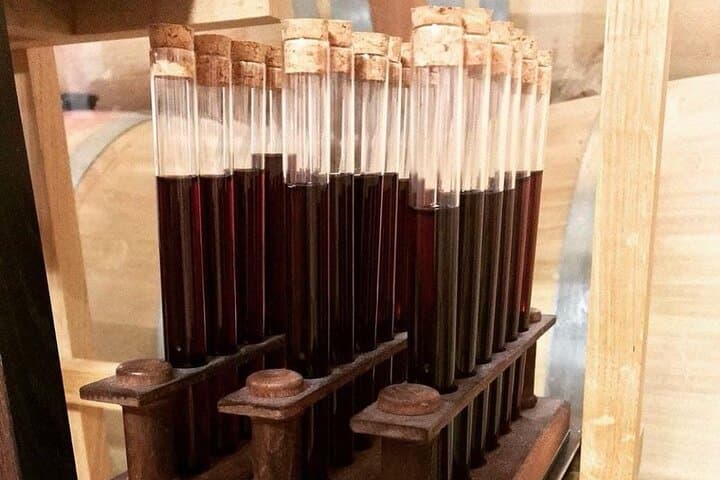 Wine Gaming at Chateau Lamothe — Bordeaux Team Oenology Challenge photo 3