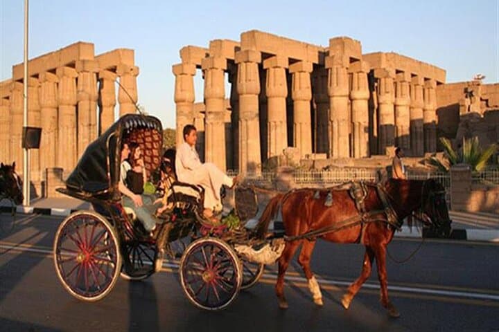 Luxor in a Day: Private Plane Tour from Cairo with Felucca and Camel photo 3