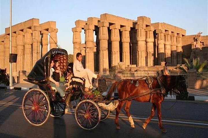 Nile Cruise 4-Night Luxor to Aswan: Temples, Hot-Air Balloon & Abu Simbel photo 3
