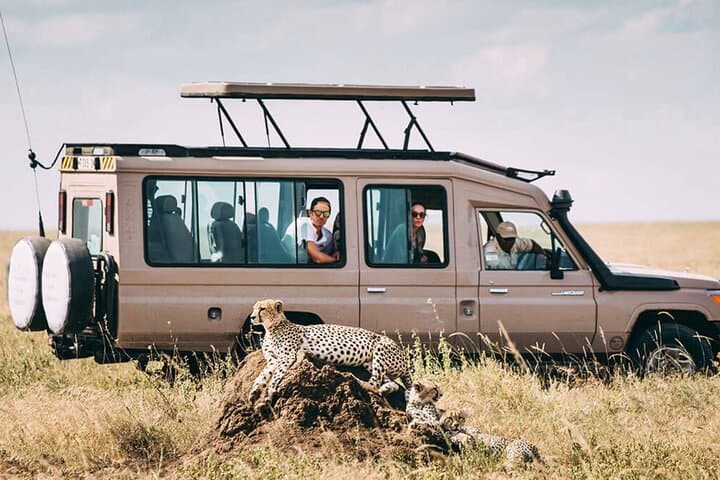 4-Day Ngorongoro, Tarangire & Serengeti Safari: Big Five in Four Days photo 6