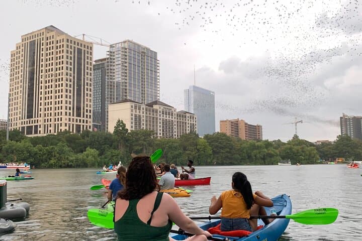Sunset Kayak Tour Under Austin’s 1.5 Million Bats on Lady Bird Lake photo 3