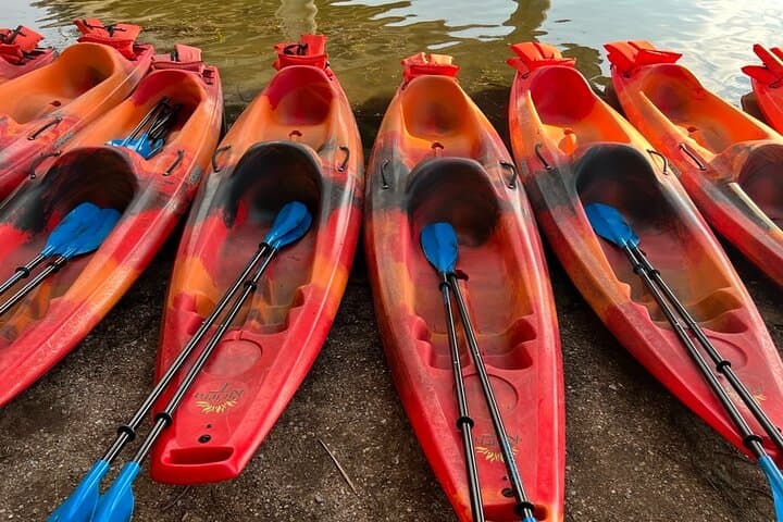 Sunset Kayak Tour Under Austin’s 1.5 Million Bats on Lady Bird Lake photo 5