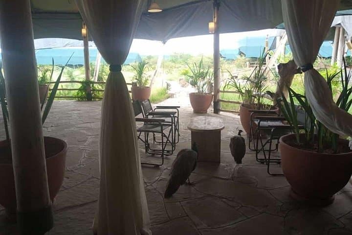 3-Day Maasai Mara Safari: Game Drives, Tented Camp & Great Rift Views photo 3