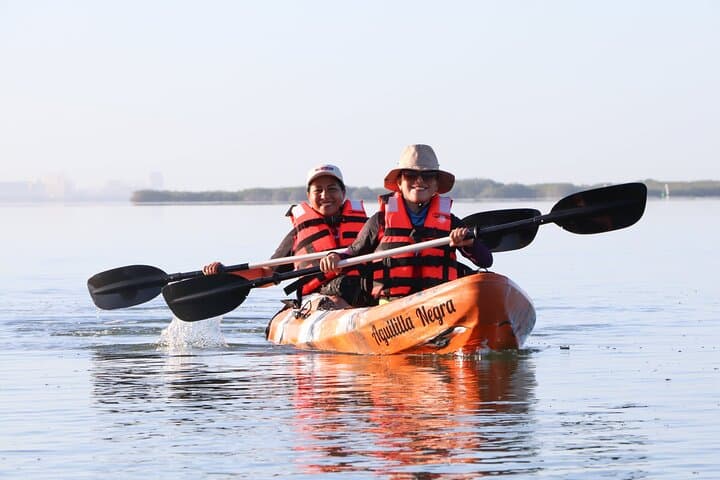 Mangrove Kayaking Tour in Cancun’s Nichupté Lagoon photo 3