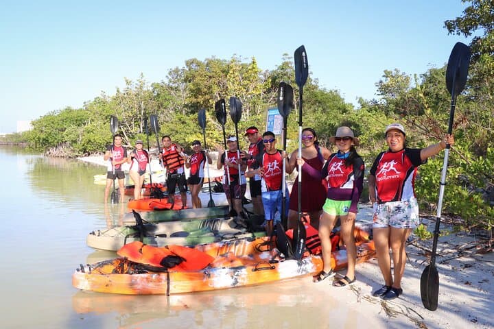 Mangrove Kayaking Tour in Cancun’s Nichupté Lagoon photo 4