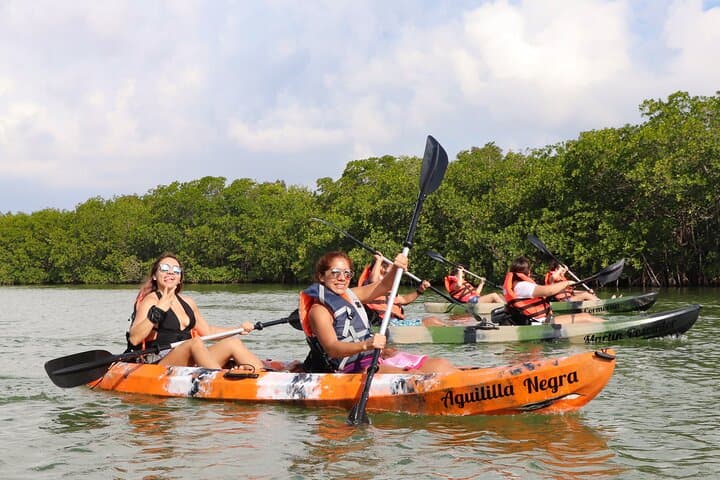 Kayak the Nichupté Lagoon in Cancun: Mangrove Wildlife Tour & Practical Tips photo 2