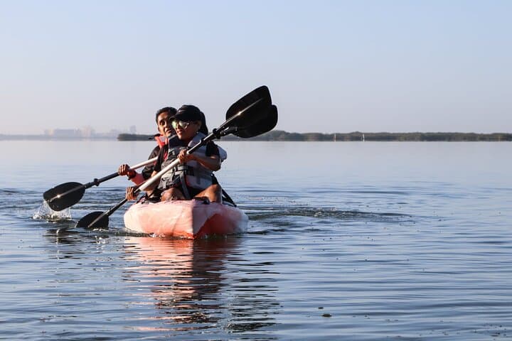 Cancun Mangrove Kayak Tour: Nichupté Lagoon Wildlife & Sightseeing photo 3