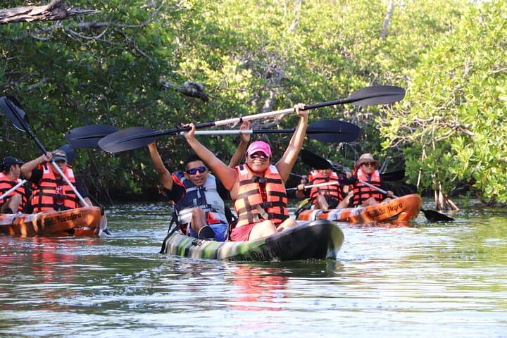 Cancun Mangrove Kayak Tour: Nichupté Lagoon Wildlife & Sightseeing photo 2