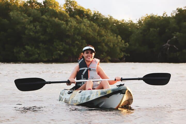 Cancun Mangrove Kayak Tour: Nichupté Lagoon Wildlife & Sightseeing
