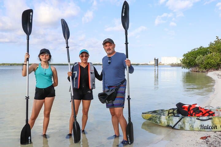Kayak the Nichupte Mangroves: Guided Lagoon Eco-Tour from Cancun photo 2