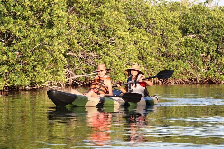 Kayak the Nichupte Mangroves: Guided Lagoon Eco-Tour from Cancun photo 3