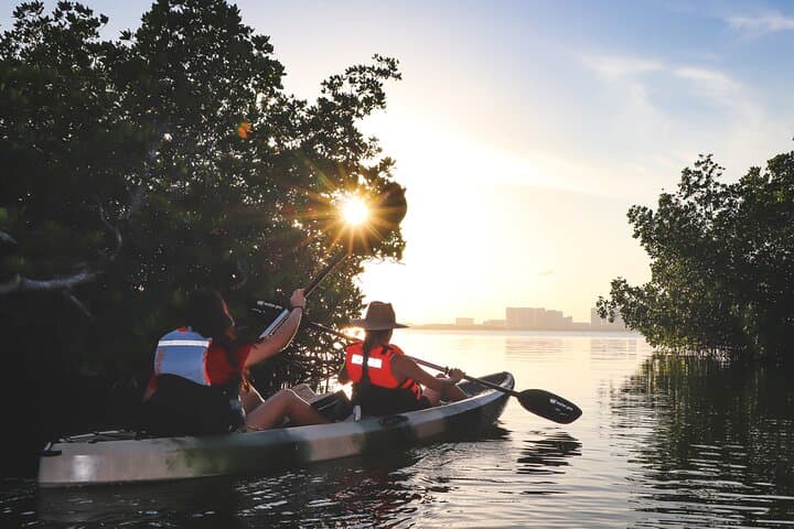 Kayak the Nichupte Mangroves: Guided Lagoon Eco-Tour from Cancun photo 4