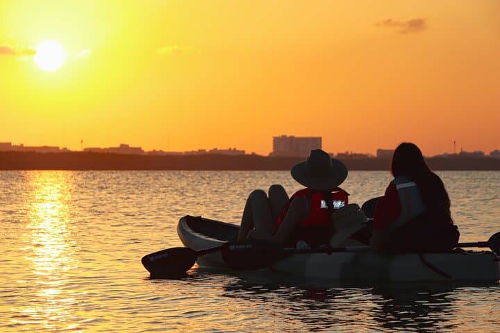 Kayak the Nichupte Mangroves: Guided Lagoon Eco-Tour from Cancun photo 6