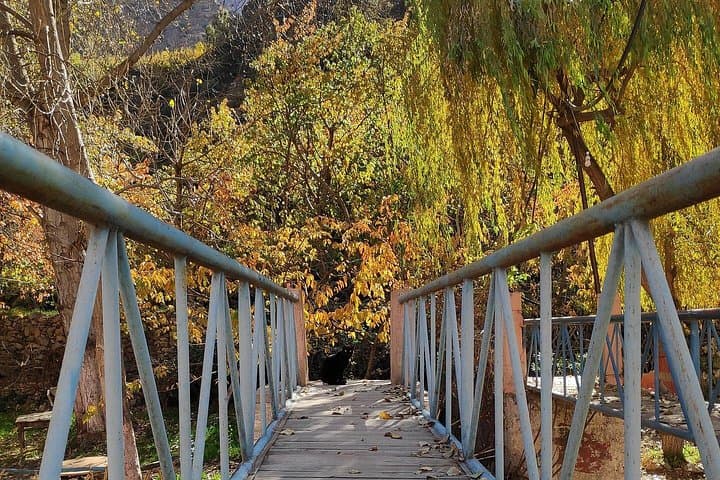 Ourika Valley Day Trip from Marrakech: Waterfalls, Berber Villages & Atlas Views photo 3