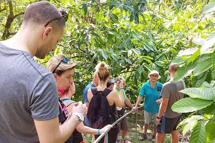 Chocolate and Coffee Farm Tour at Don Jorge — Alajuela Coffee & Cacao Experience photo 1