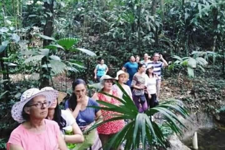 Chocolate and Coffee Farm Tour at Don Jorge — Alajuela Coffee & Cacao Experience photo 2