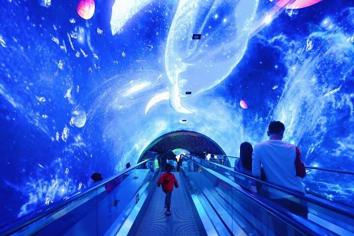 Family Day at Grandview Aquarium & Rain Forest Zoo — Guangzhou Adventure photo 2