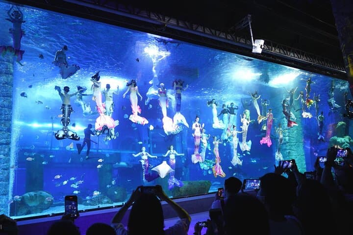 Family Day at Grandview Aquarium & Rain Forest Zoo — Guangzhou Adventure photo 5
