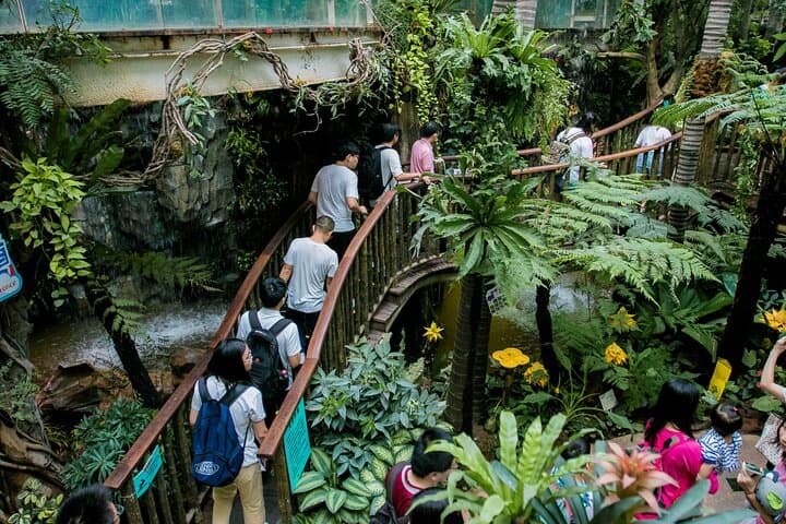 Family Day at Grandview Aquarium & Rain Forest Zoo — Guangzhou Adventure photo 3