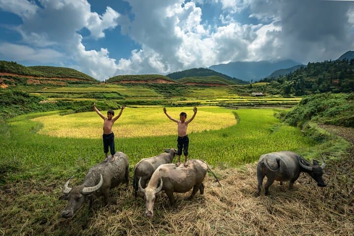 Full-Day Ninh Binh Adventure: Mua Peak, Tam Coc Boat Ride & Hoa Lu History photo 1