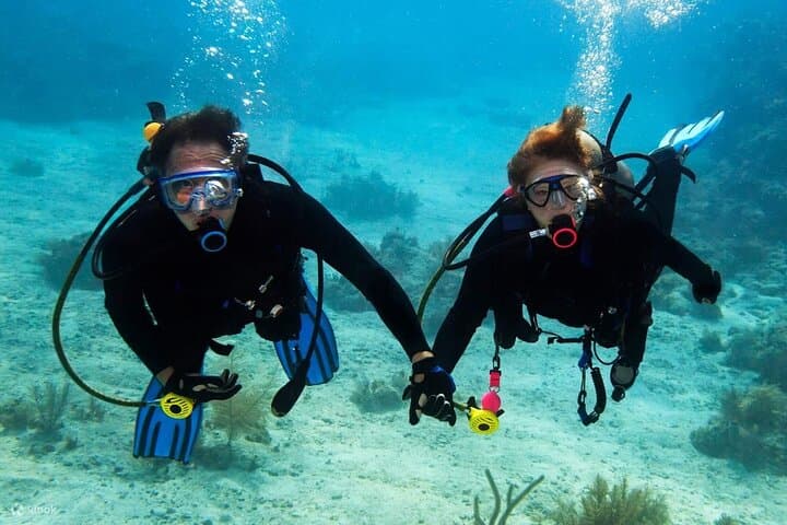 Beginner Scuba Diving at Jumeirah Beach, Dubai — 2-Hour Intro with Hotel Pickup photo 4