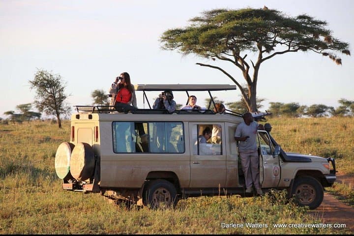 3-Day Serengeti & Ngorongoro Crater Safari: Camping Game Drives from Arusha photo 2