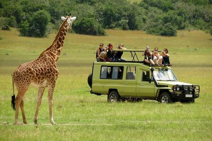 3-Day Serengeti & Ngorongoro Crater Safari: Camping Game Drives from Arusha photo 3