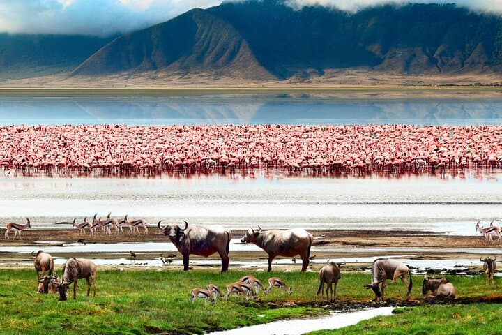 3-Day Tarangire, Ngorongoro & Materuni Safari from Arusha photo 5