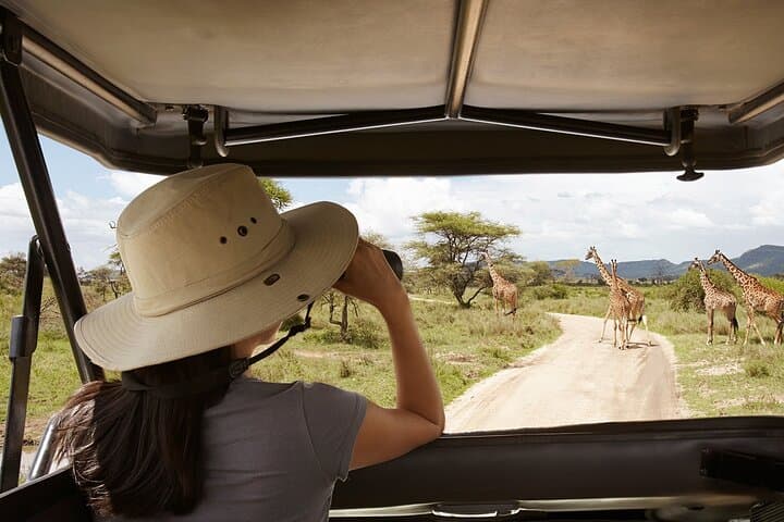 Two-Day Tarangire and Ngorongoro Safari: Elephants, Crater Wildlan and Hippo Pools