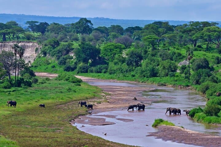 Two-Day Tarangire and Ngorongoro Safari: Elephants, Crater Wildlan and Hippo Pools photo 4