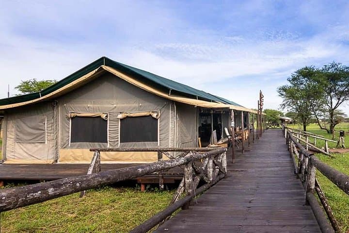 5-Day Private Safari: Ngorongoro, Serengeti & Lake Manyara Adventure photo 2